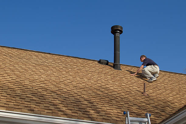 Best Solar Panel Roofing Installation  in Mertzon, TX