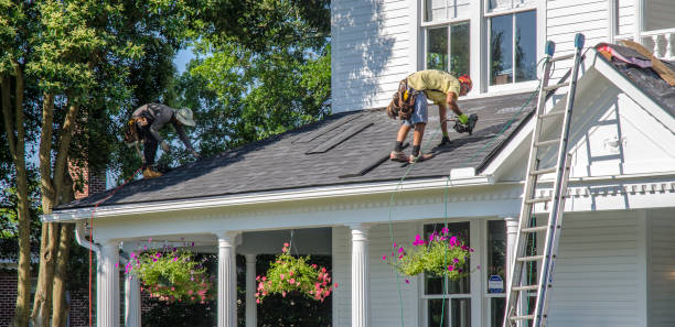 Best Roof Ventilation Installation  in Mertzon, TX